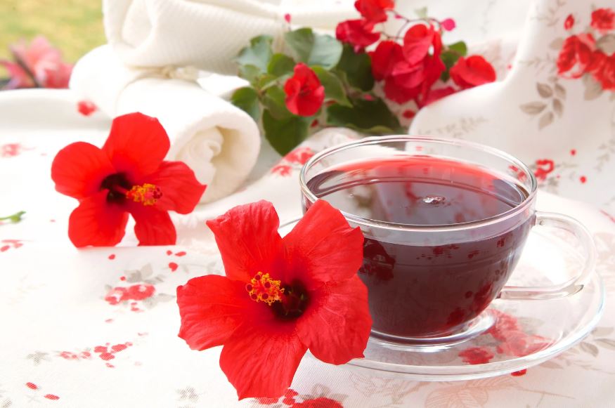 Best Teas for Belly Fat Loss | Hibiscus Tea
