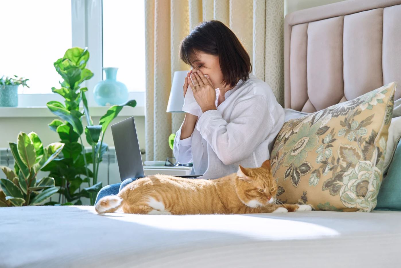 Best diet for senior cats