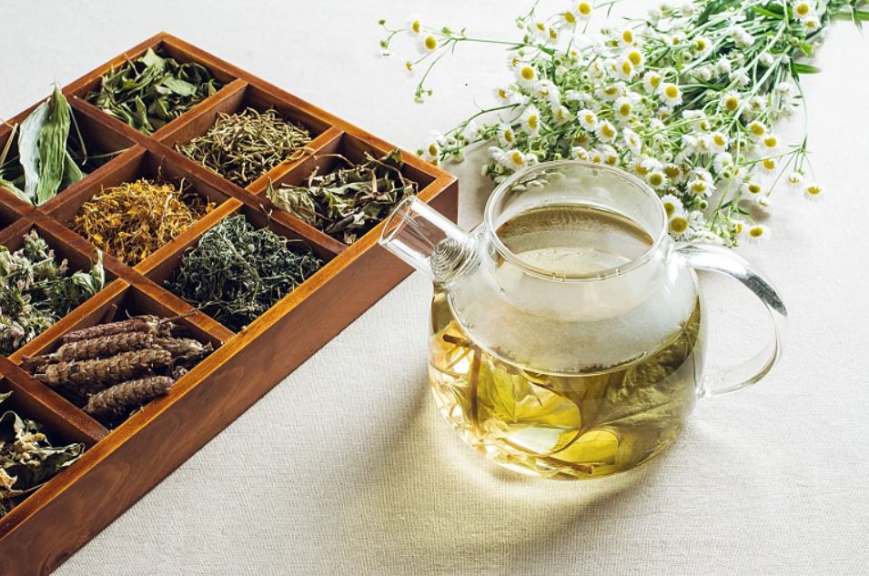Green Tea | Herbal drinks to lose belly fat