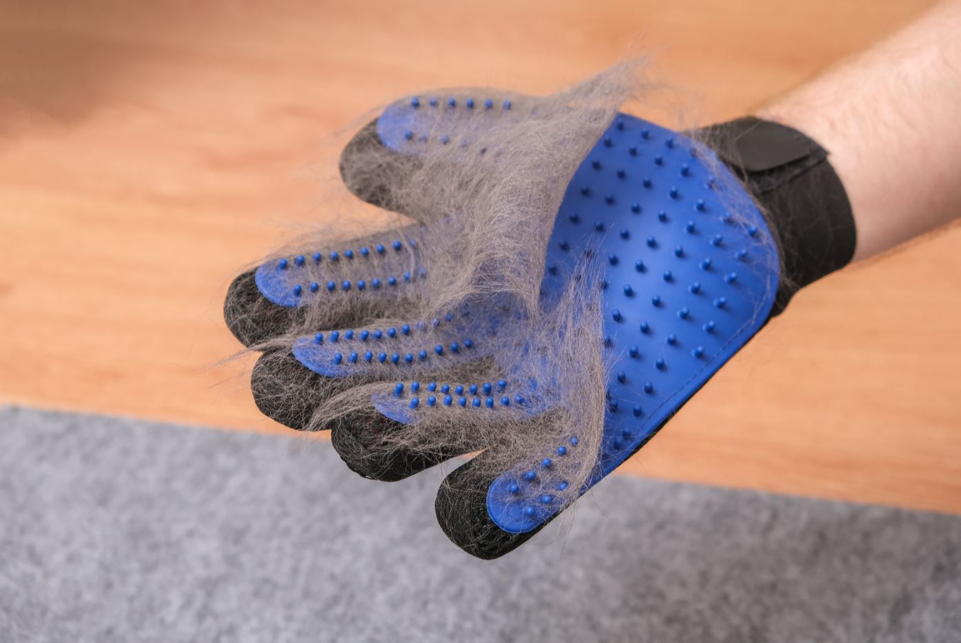 How to reduce cat shedding at home