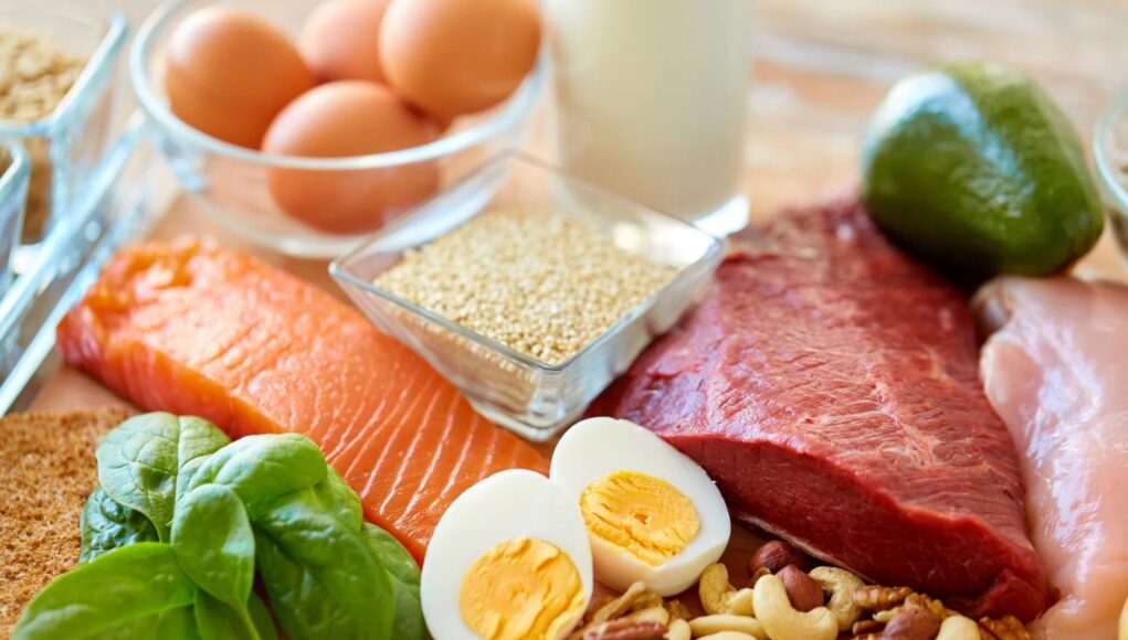 Lose Belly Fat with High-Protein Diet